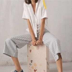 Madewell Emmett Wide-Leg Crop Pants in Stripe: Button-Front Edition- Women’s 27